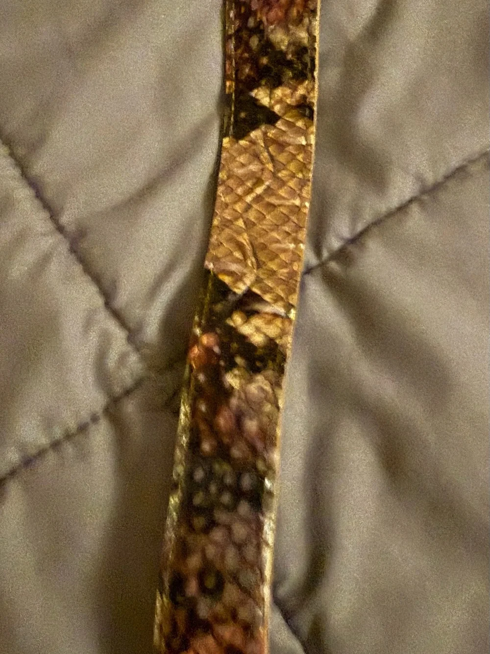 Brahmin satchel croc